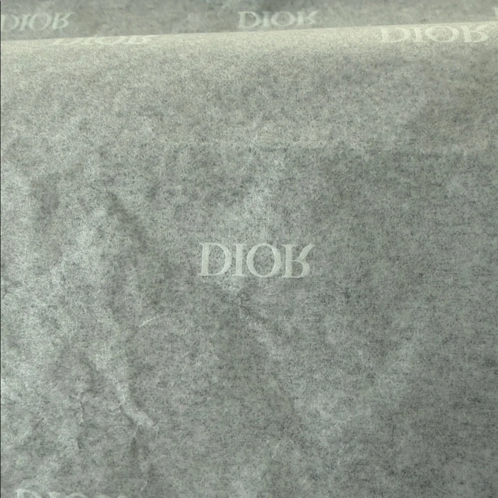 Dior Gift Bag